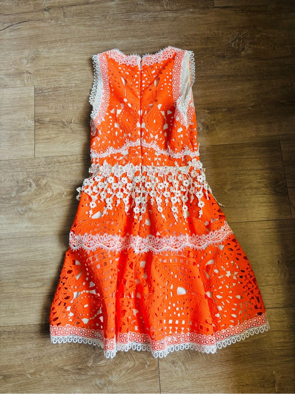 Alexis Orange Lace Mini Dress with White Trim - Picture 5 of 5